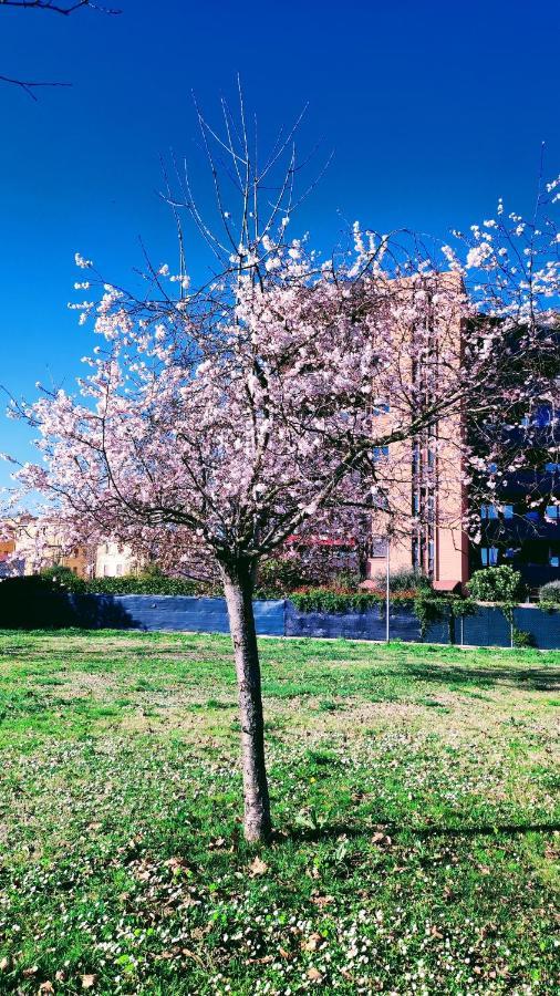 Bologna Vista Parco Apartment 2 Letti Matrimoniali Eksteriør bilde